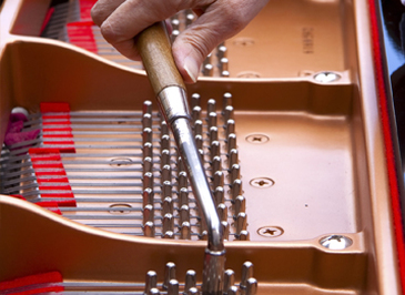 Piano technician works his tuning hammer inside a grand piano.